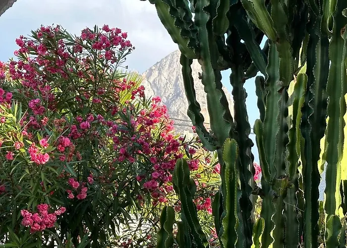 Almendros Con Piscina Privada